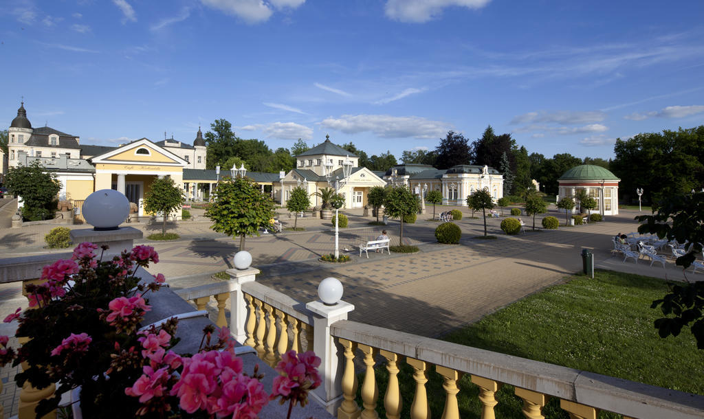 Dr. Adler Spa & Kurhotel Frantiskovy Lazne Exterior photo